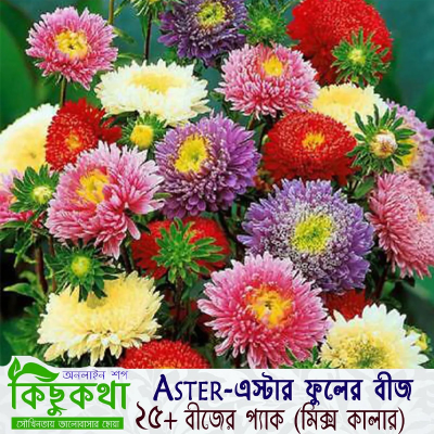 Picture of এস্টার  / Aster Flower Seed - 25 pcs - Mix Color - F2 Hybrid