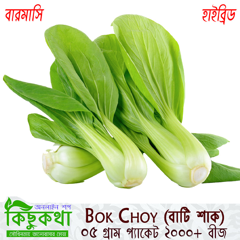 Picture of Bok Choy / Bati Sak Seed - 10 gm /  Almost 4000+ pcs seed
