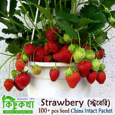 Picture of Strawberry Seed Hybrid - 40 + Seed Intact Packet