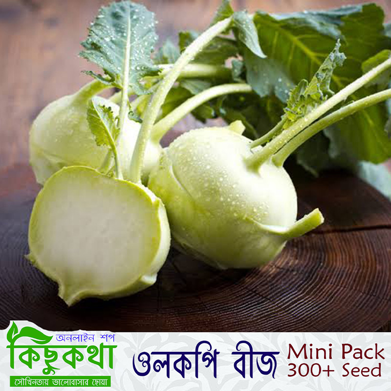 Picture of ওলকপি / Olkopi / Kohlrabi Seed - Mini Pack (100+ pcs) F1 Hybrid Seed
