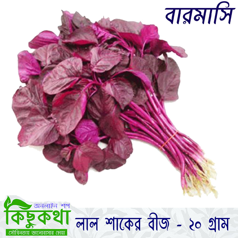 Picture of Lal Sak - 20 gm Seed - All Season (15000+ Seed)