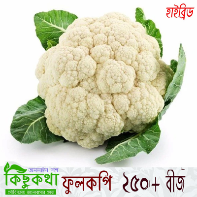 Picture of Fulkopi / Cauliflower Seed - 50+ pcs Seed