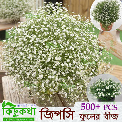 Picture of Gypsy Flower Seed - 1gm (1000+) Intact Seed White Flower For All Season