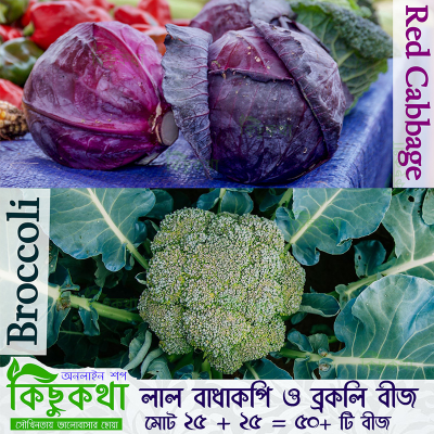 Picture of Combo Seed Pack - Brocholi & Red Cabbage Seed - 2 Type Seed- Brocholi 25 pcs and Red Cabbale 25 pcs Seed/ Combo code - veg1