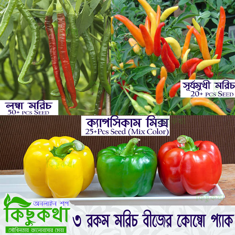 Picture of 3 Type Chili Seed Combo Pack - Capcicum, Long Chili & Suryamukhi Chili- ক্যাপসিকাম, লম্বা মরিচ ও সূর্যমুখী মরিচের  যথাক্রমে ২৫, ৫০ ও ২০ টা করে বীজ থাকবে - Combo code - veg1