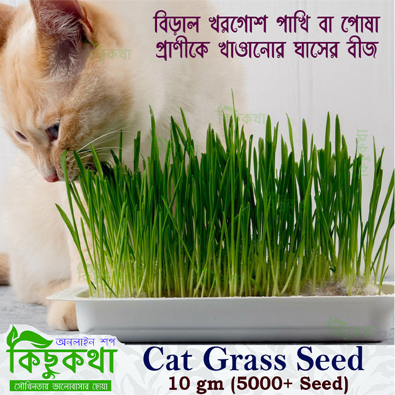 Picture of Cat Grass Seed  - 10 grams 2000+ pcs Seeds for Feeding Other Animals Along with Cat, Sowing Seeds for Feeding Animals