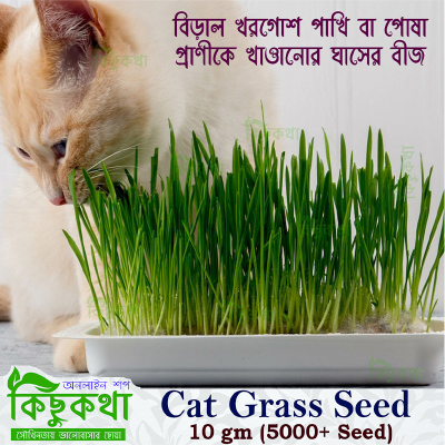 Picture of Cat Grass Seed  - 10 grams 2000+ pcs Seeds for Feeding Other Animals Along with Cat, Sowing Seeds for Feeding Animals