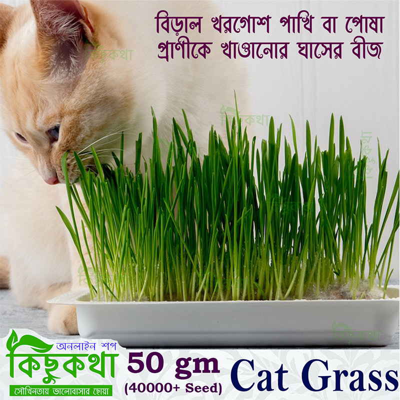 Picture of Cat Grass Seed - 50 gm/ 10000+ Seed For Cat and Other Animal Eating Grass