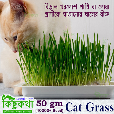 Picture of Cat Grass Seed - 50 gm/ 10000+ Seed For Cat and Other Animal Eating Grass
