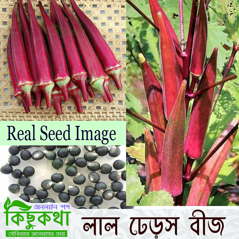 Picture of Red Okra Seed/লাল ঢেড়সের বীজ - 15 pcs Seed- F1 Hybrid