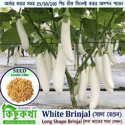Picture of White Brinjal - Long Shape Brinjal Seed - 25  pcs Seed