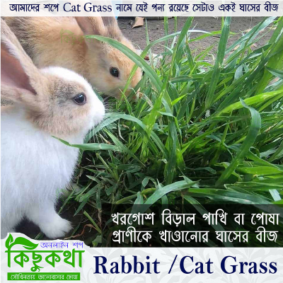 Picture of Rabbit Grass Seed - 10 Gram Seed For Rabbit Cat and Other Animal Eating Grass