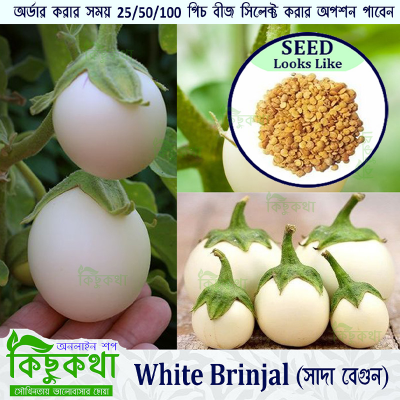 Picture of White Brinjal - Round Shape Egg Brinjal Seed - 25 pcs Seed