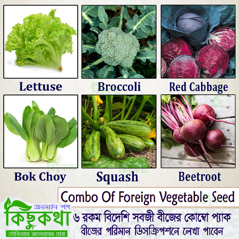 Picture of Foreign Vegetable Seed Combo Pack - 6 types of seeds - lettuce, broccoli, red cabbage, cucumber, squash and beetroot seeds together