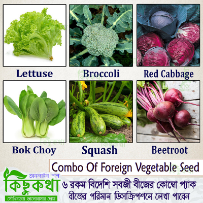 Picture of Foreign Vegetable Seed Combo Pack - 6 types of seeds - lettuce, broccoli, red cabbage, cucumber, squash and beetroot seeds together