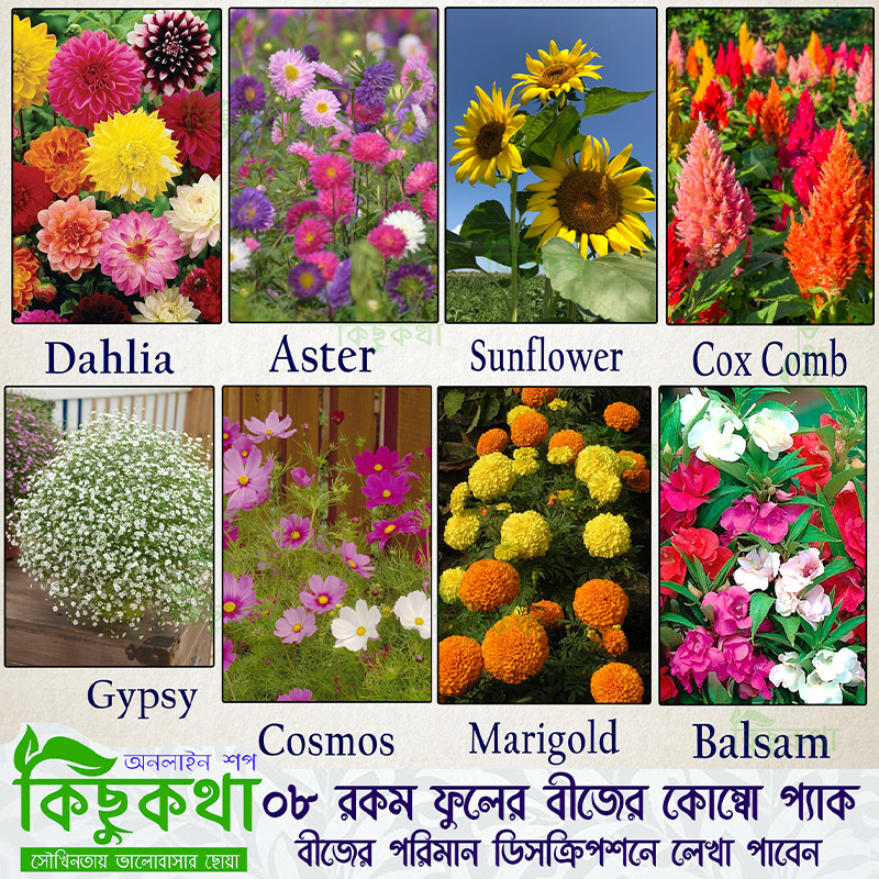 Picture of 8 Type Flower Seed Combo Pack - Marigold,Aster, Dhalia,Sunflower, Cosmos, Coxcomb,Gypsy, Balsam Flower Seed Combo