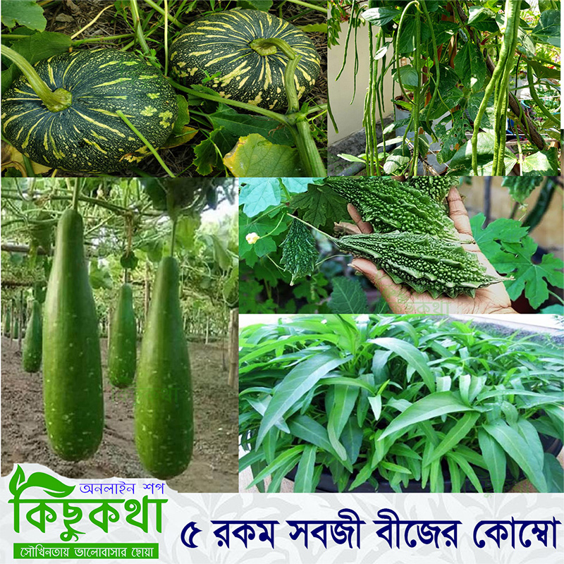 Picture of 5 Type Vegetable Seed Combo Pack- veg4 - Combo of Borboti, Mistikumra, Lau, Ucce . Ghima Kolmi