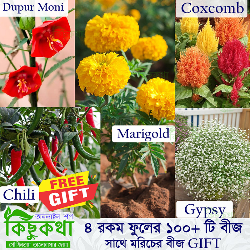Picture of 4 Type Flower Seed Combo Pack - Total 100+  Seed of Dupur Moni, Marigold,, Gypsy & Cosmos Flower Seeds - combo code flw3