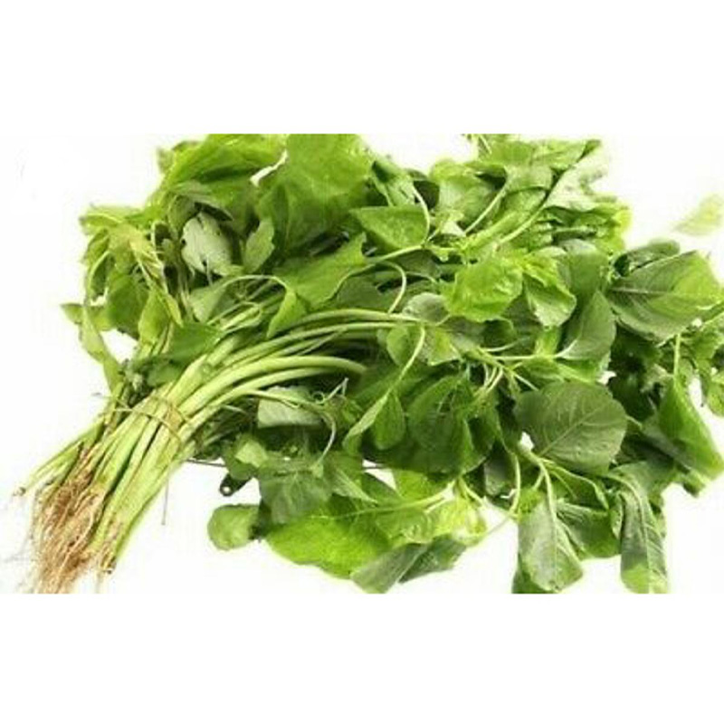 Picture of ঘি কাঞ্চন বা সাদা শাকের বিজ - 1000+ pcs