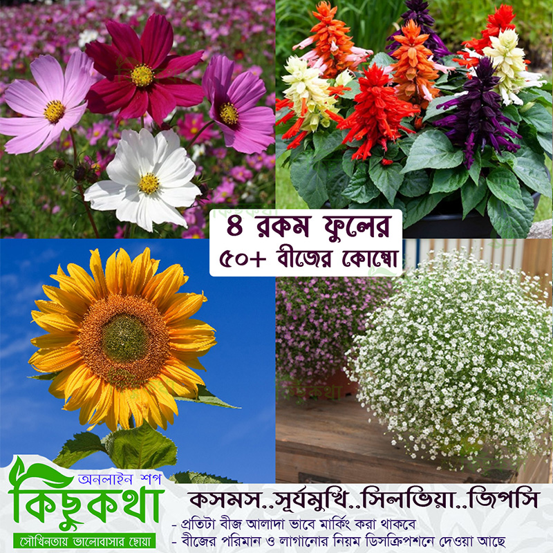Picture of 50+ pcs Seed of 4 type Flower Seed Combo pack - Cosmos Gypsy Sunflower and Silvia - Mixed Color All Season