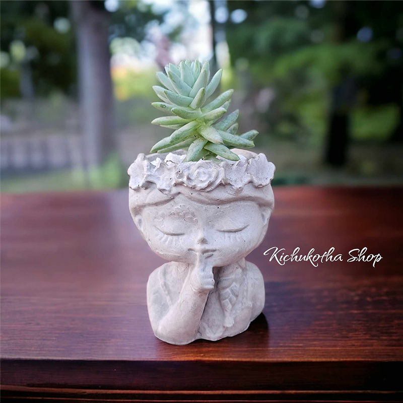 Picture of Dall Shaped Mini Flower Pot For Cactus Succulent & Mini size Plant potting Concrete Make