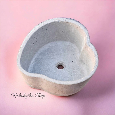 Picture of Love Shape Mini Plant Pot For Cactus Succulent and other mini plant potting tob concrete make only pot