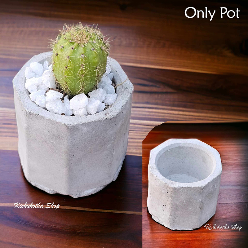 Picture of Cactus Succulent Pot very small Size For mini plant Cement Make