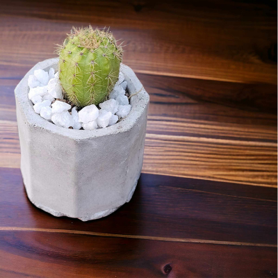 Picture of Cactus Succulent Pot very small Size For mini plant Cement Make