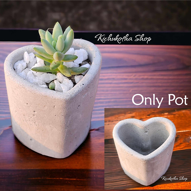 Picture of Love Shape Small Cactus Succulent Pot Long Love for Mini Plant Cement Make