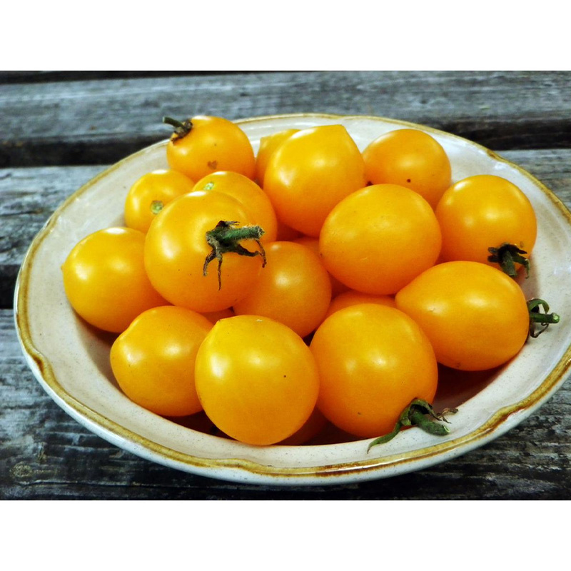 Picture of Cherry Tomato Yellow -  20 PCS Seeds F1 Hybrid