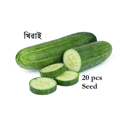 Picture of Khirai (খিরাই) Seed - 20+ Seed