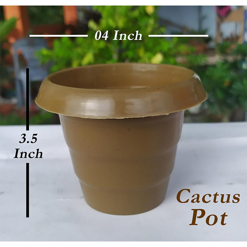 Picture of 05 pcs Cactus Succulent Plant Pot - (04 Inch Size) - ক্যাকটাস পট