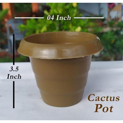 Picture of 05 pcs Cactus Succulent Plant Pot - (04 Inch Size) - ক্যাকটাস পট