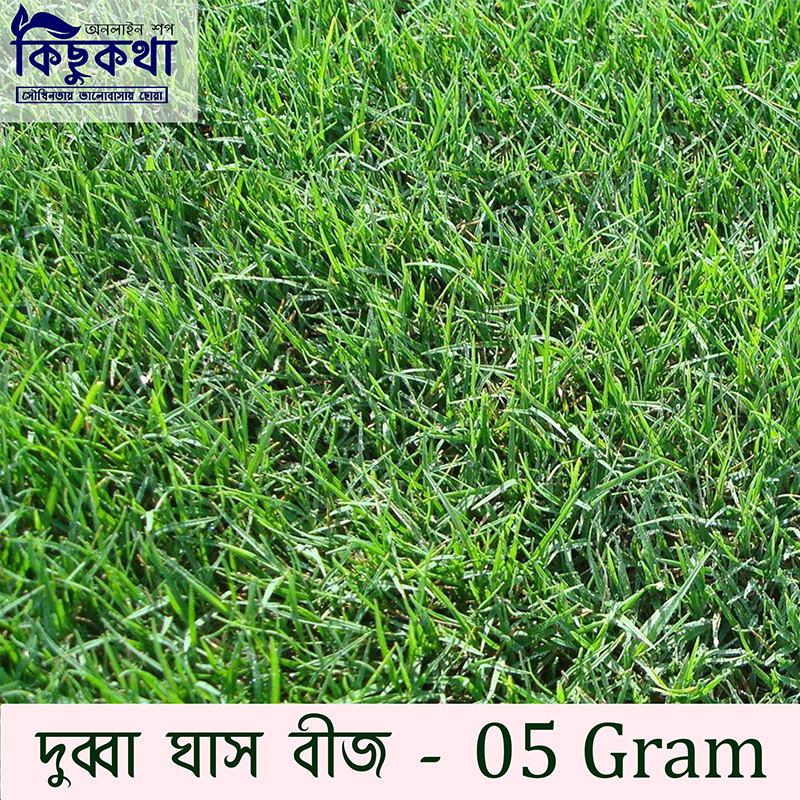 Picture of Durba Grass Seed - 5 gm - দূর্বা ঘাসের বীজ ৫ গ্রাম বা প্রায় ২০০০+ টি বীজ