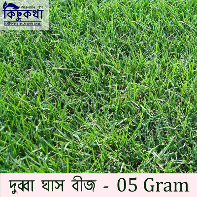 Picture of Durba Grass Seed - 5 gm - দূর্বা ঘাসের বীজ ৫ গ্রাম বা প্রায় ২০০০+ টি বীজ