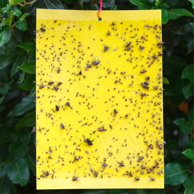 Picture of Yellow sticky trap for pest control - 8x12 Inch Size - 05 pcs Pack You Can Select Quantity