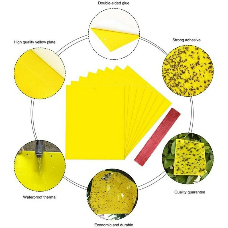 Picture of Yellow sticky trap for pest control - 8x12 Inch Size - 05 pcs Pack You Can Select Quantity