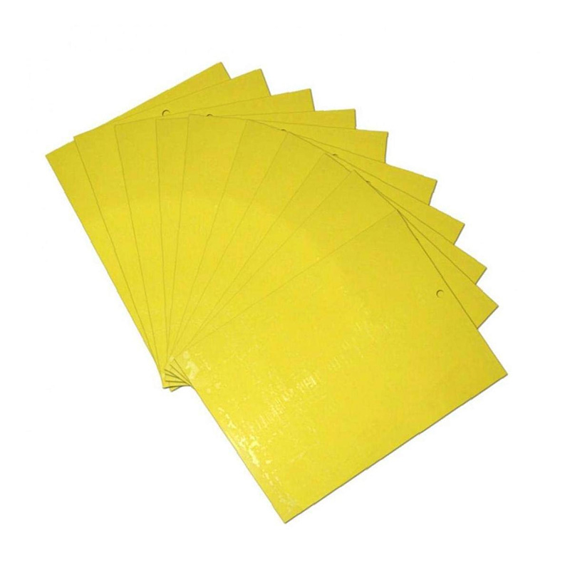 Picture of Yellow sticky trap for pest control - 8x12 Inch Size - 05 pcs Pack You Can Select Quantity