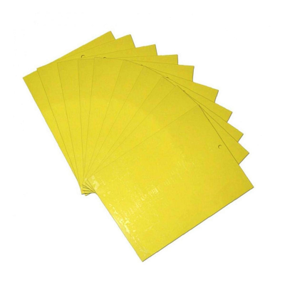 Picture of Yellow sticky trap for pest control - 8x12 Inch Size - 05 pcs Pack You Can Select Quantity
