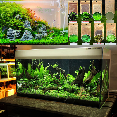 Picture of 7 Type Aquarium Plant Grass Seed Combo 350+ Seed -50+ pcs Each Type