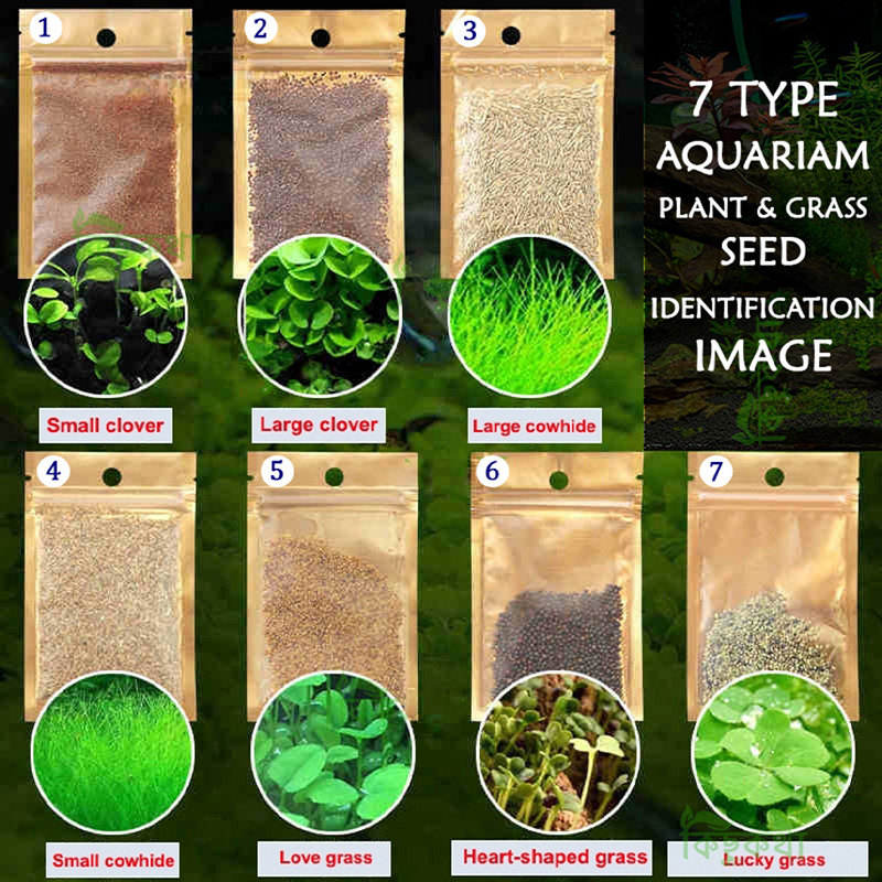 Picture of 7 Type Aquarium Plant Grass Seed Combo 350+ Seed -50+ pcs Each Type