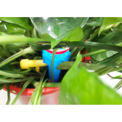 Picture of 10  Pcs Self Watering Spike Indoor home garden PVC Automatic Plant Flower drip irrigation system