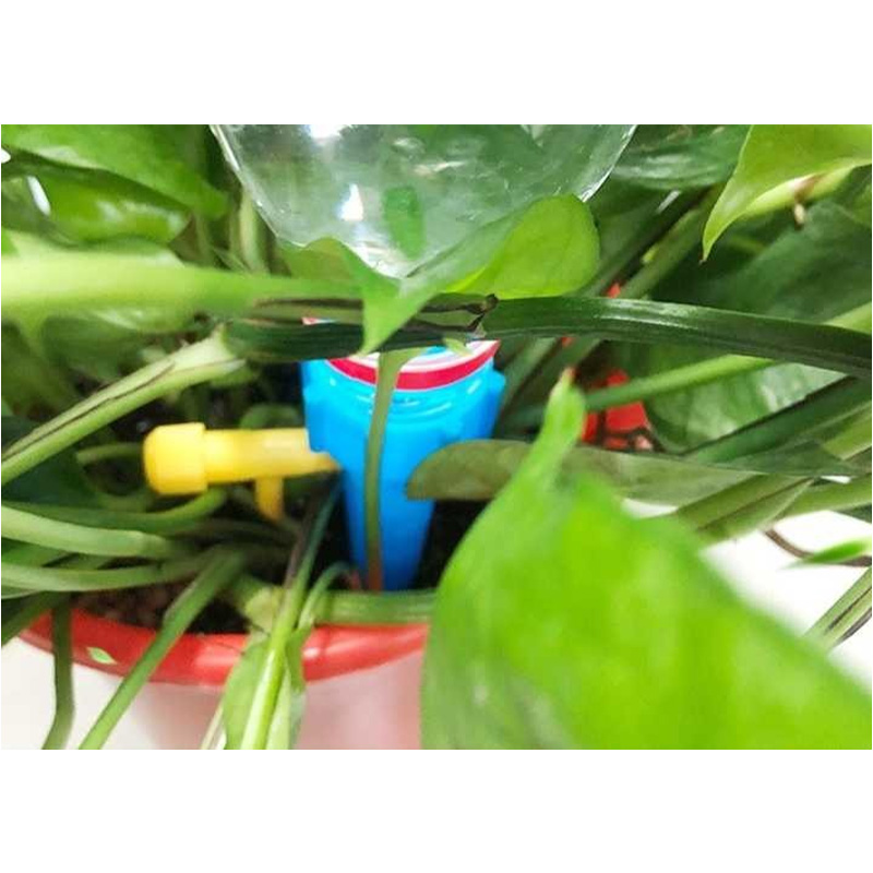Picture of 05 Pcs Self Watering Spike Indoor home garden PVC Automatic Plant Flower drip irrigation system