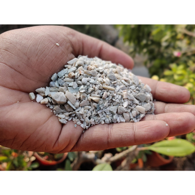 Picture of White Stone Chip (সাদা পাথর ) - 0.5 KG  (500 gm) Mini White Stone Chip For Making Adenium Cactus Media and Decoration of Aqurium
