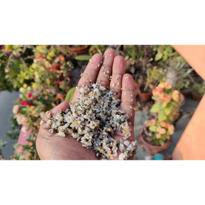 Picture of White Stone Chip (সাদা পাথর ) - 0.5 KG  (500 gm) Mini White Stone Chip For Making Adenium Cactus Media and Decoration of Aqurium