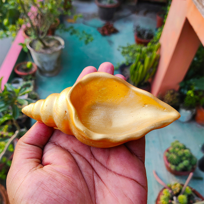 Picture of Snail Shape Golden Color Show-piech or Mini Flower Tub for Decoration - শামুক শেপের কনক্রিটের তৈরি সোনালি রঙ এর শো পিচ বা ছোট টব - ০১ পিচ