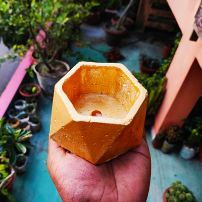 Picture of Bowl Shape Golden Color Concrete Made Mini Flower Tob of Show Peace - 01 pcs / সোনার বাটি / সিমেন্টের তৈরি বাটি শেপের সোনালি রঙ বড় সাইজ ফুলের টব বা শো-পিচ
