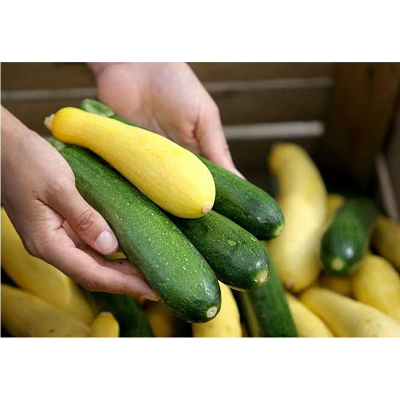 Picture of Squash Seed 10 pcs Hybrid - Mix Color