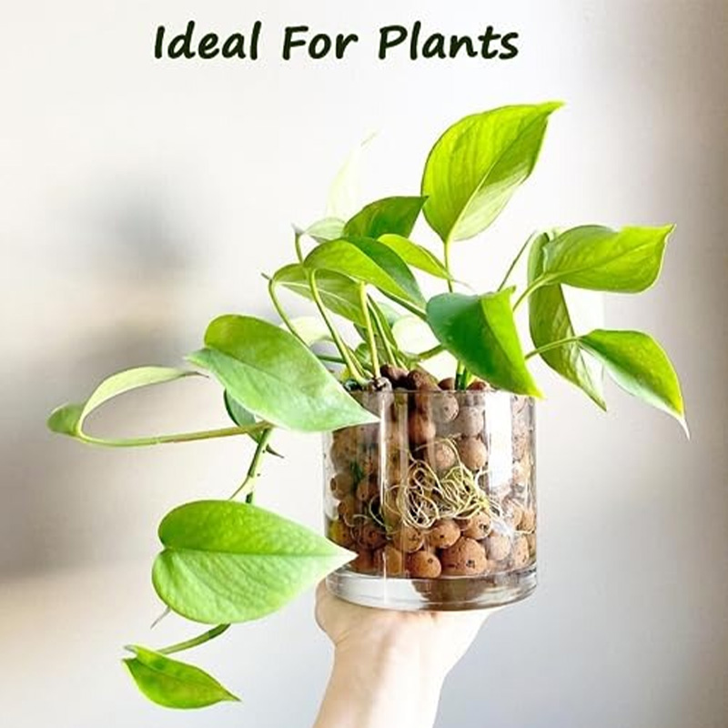 Picture of Clay Ball For Plant - 0.5 kg pack - ক্লে বল গাছের মিডিয়া বা গাছের সৌন্দর্য বৃদ্ধির জন্য ব্যবহৃত