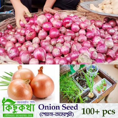 Picture of Onion Seed 100+ pcs Seed - Taherpuri Peyaj seed All season